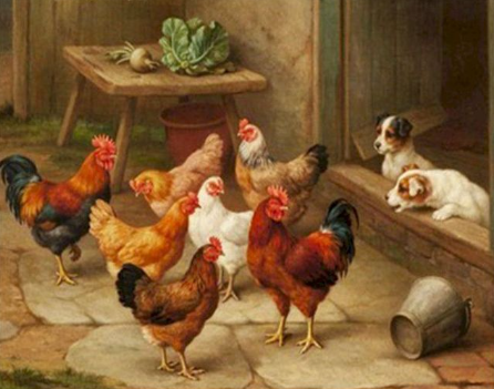 Paint by Number Farm Hens and Puppies-Edgar Hunt