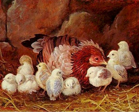 Paint by Number Farm Chicks-Edgar Hunt