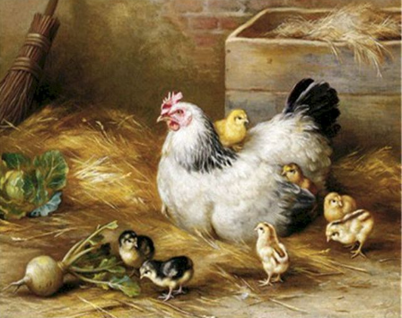 Paint by Number Farm Chicks Staying close to Mom-Edgar Hunt