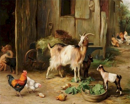 Paint by Number Goats in the Barnyard-Edgar Hunt