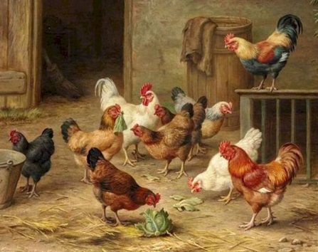 Paint by Number Roosters In the Roost-Edgar Hunt