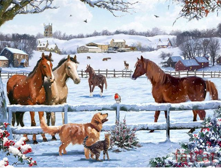 Paint by Number Farm Horse and Friends