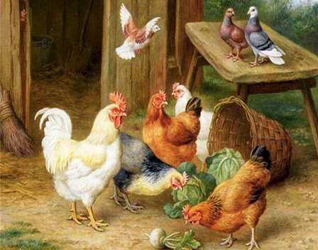 Paint by Number Farm Hens and Doves-Edgar Hunt