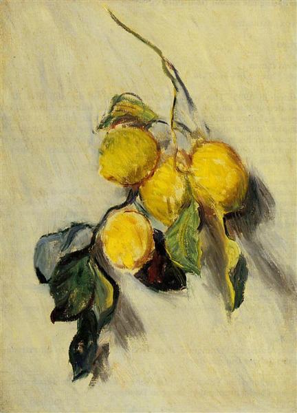 Paint By Number Branch of Lemons - Claude Monet