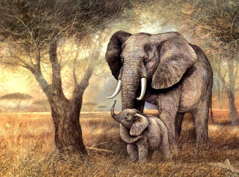 Jungle Bond Elephant and Babies