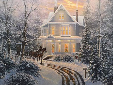 Paint by Number Christmas Victorian House