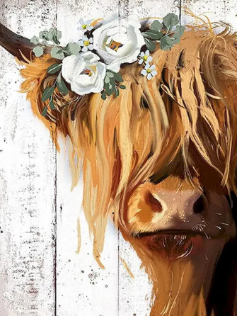 Paint by Number Highland Cow with Roses