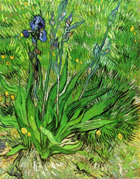 The Iris-Vincent Van Gogh Paint by Number
