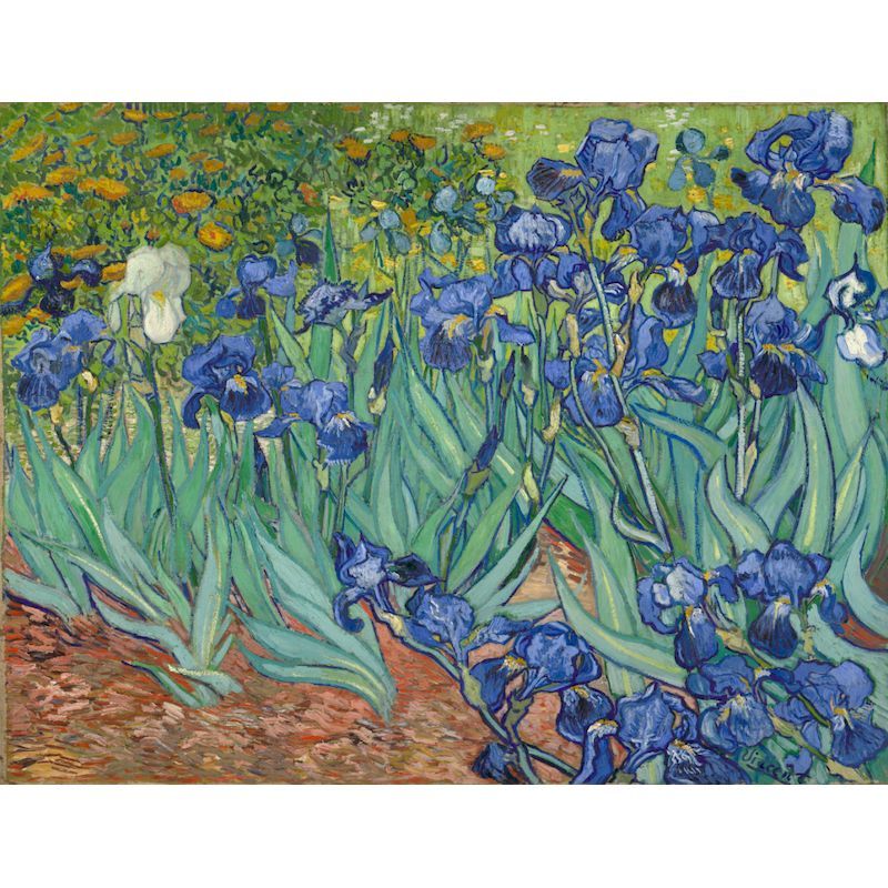Irises by Vincent Van Gogh Paint By Number