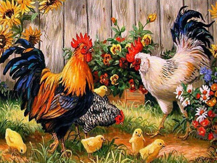 Paint By Number Farm Family of Chickens