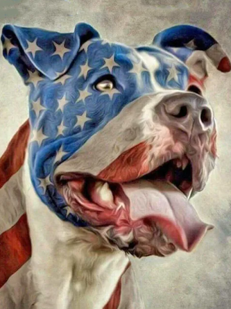 American Spirit