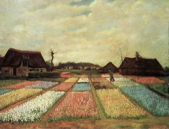 Bulb Fields By Vincent Van Gogh Paint By Number