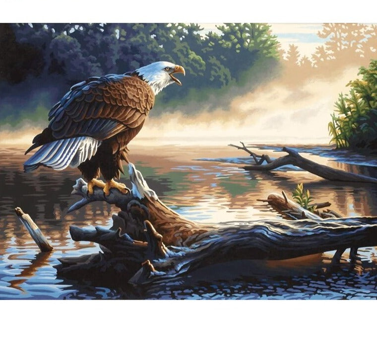 Bald Eagle Painting by Number Painting Kit by Numbers Acrylic