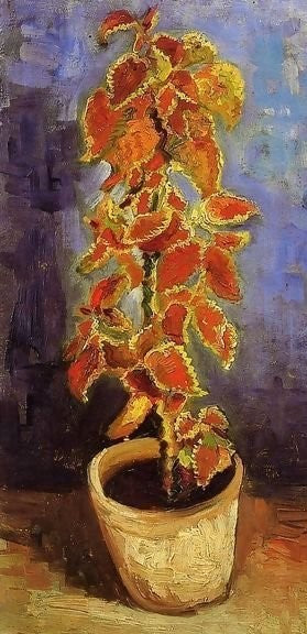 Coleus Plant In A Flowerpot By Vincent Van Gogh Paint By Number