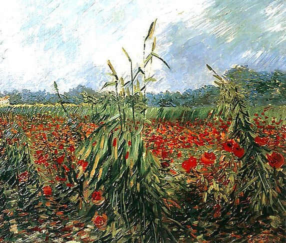 Green Ears Of Wheat By Vincent Van Gogh Paint By Number