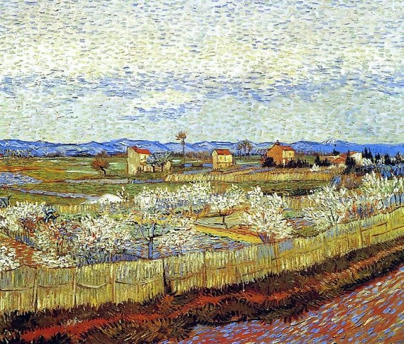 La Crau With Peach Trees In Blossom By Vincent Van Gogh Paint By Number