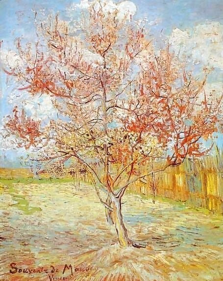 Peach Tree In Blossom At Arles By Vincent Van Gogh Paint by Number