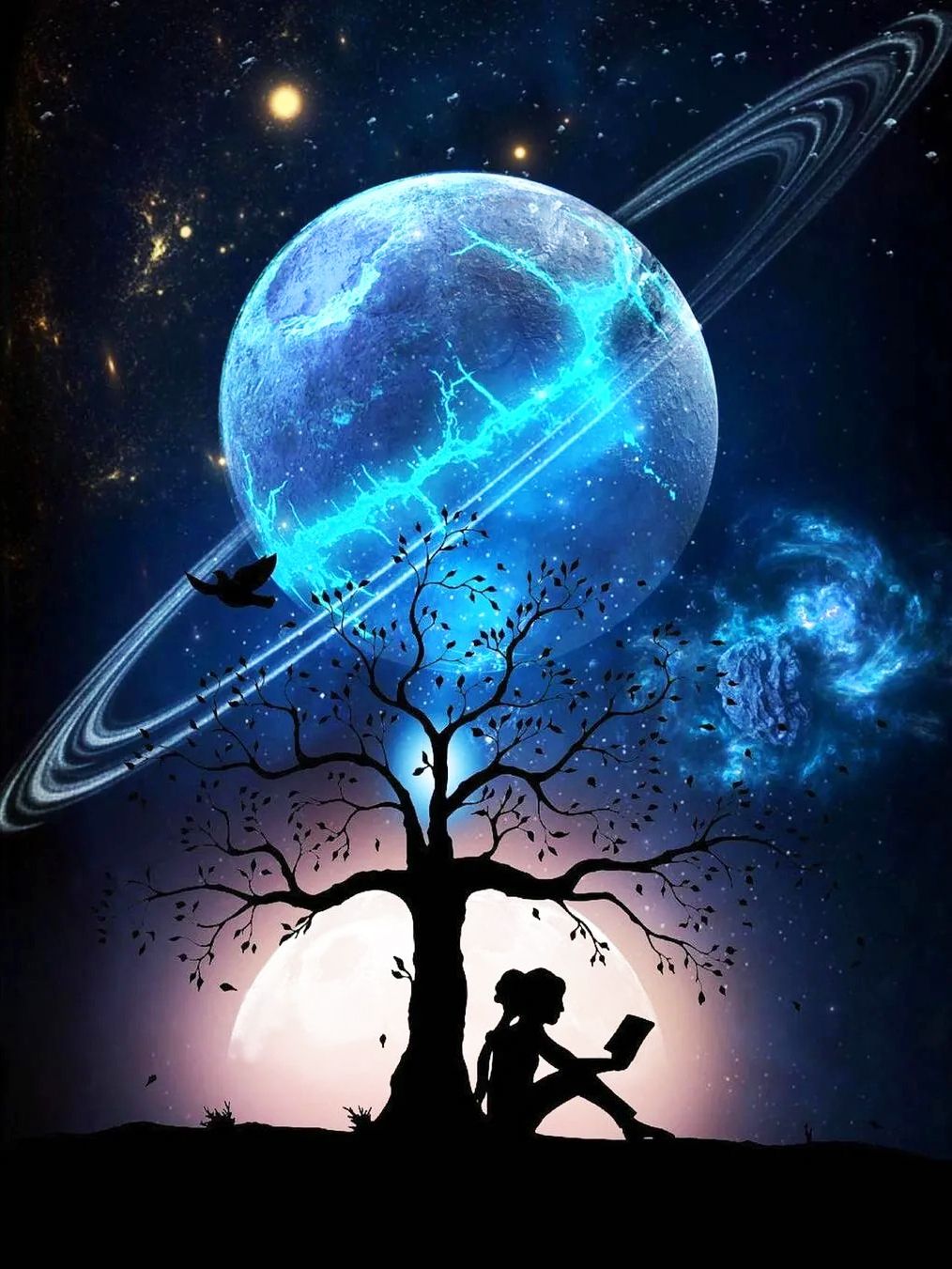 Paint By Number Rings of the Moon