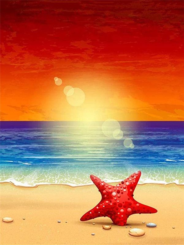 Sandy Beach  9912874