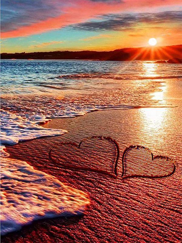 Sandy Beach  9912876