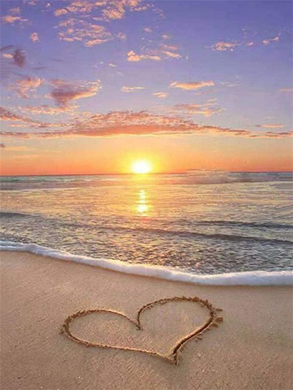 Sandy Beach  9912877