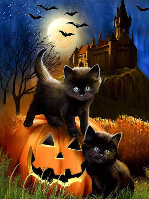 Painting By Number Black Cat Pumpkin