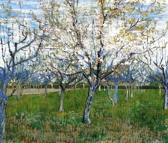 The Pink Orchard By Vincent Van Gogh Paint by Number