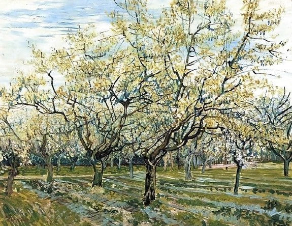 The White Orchard By Vincent Van Gogh Paint by Number