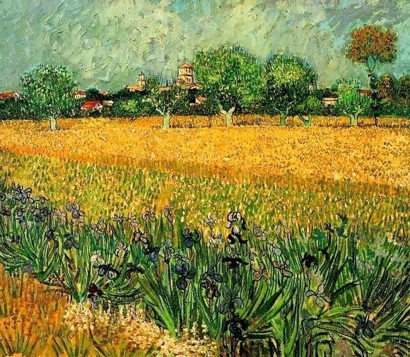 View Of Arles With Irises In The Foreground By Vincent Van Gogh Paint by Number