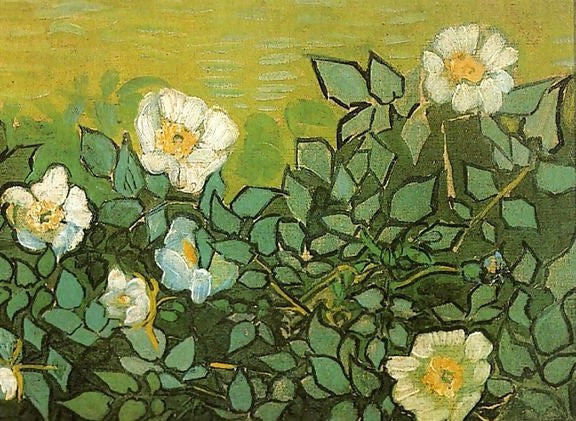 Wild Roses By Vincent Van Gogh Paint by Number