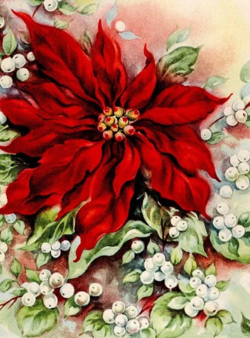 Paint By Number Poinsettia Elegance