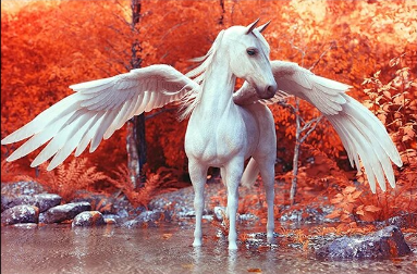 Pegasus Dreamscape Paint by Number