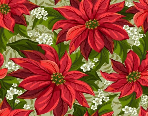 Paint By Number Poinsettia Garden