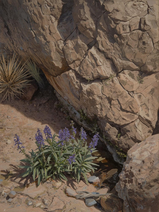Paint by Number Desert Flowers on Rocky Slope – Paint by Number Kit for Adults