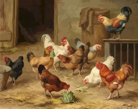 Paint by Number Hens in The Henhouse