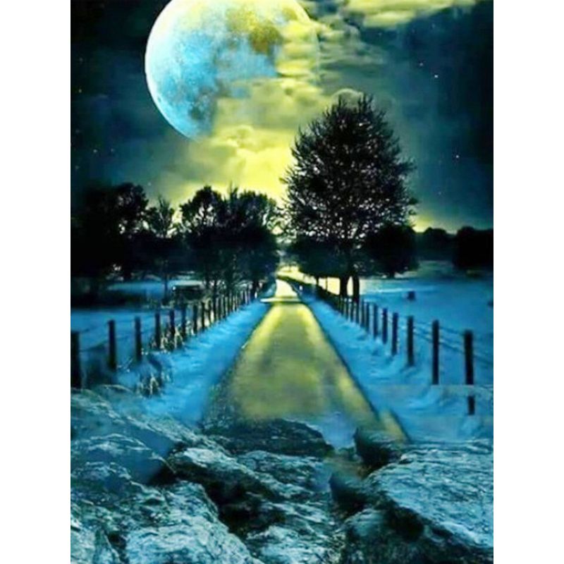Paint By Number Moonlit Pathways