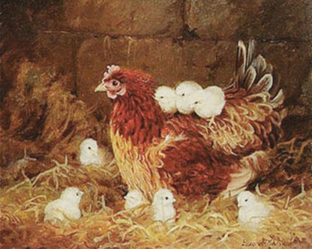 Paint by Number Farm Hen and Chicks-Edgar Hunt