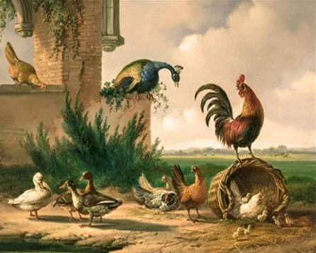 Paint by Number Farm Rooster watching his Hens-Edgar Hunt