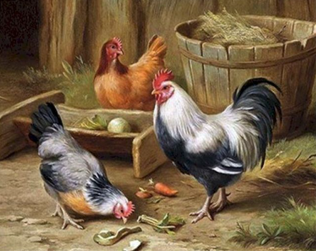 Paint by Number Farm Roosters-Edgar Hunt