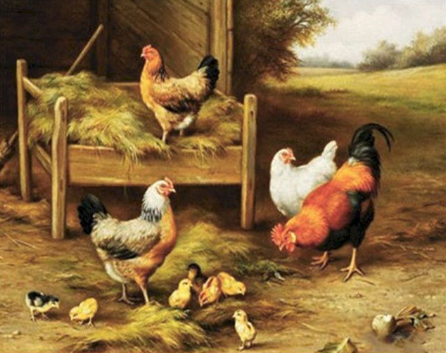 Paint by Number Farm Hens and Little Chicks-Edgar Hunt