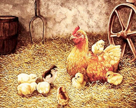 Paint by Number Farm Hens and Newborn Chicks