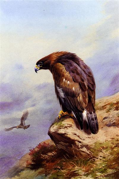 Paint By Number A Golden Eagle - Archibald Thorburn