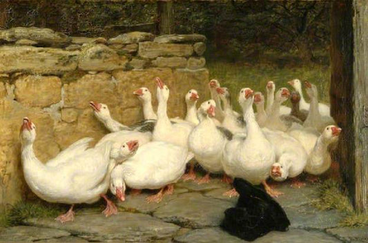 Feathered Flock: Geese Paint by Number Kit - Briton Riviere