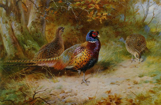 Paint By Number Autumn Covert - Archibald Thorburn