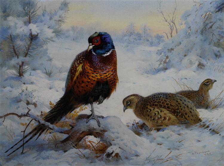 Paint By Number Cock and Hen Pheasant in Winter - Archibald Thorburn