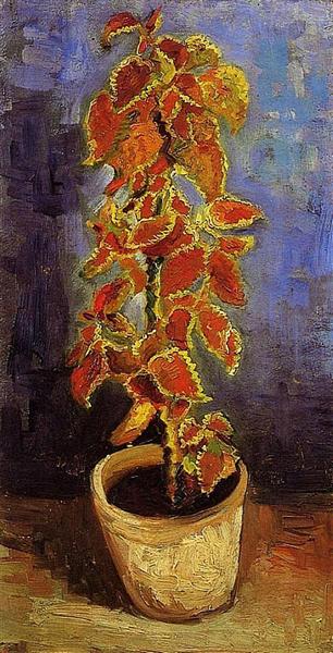 Paint by Number Coleus Plant in a Flowerpot - Vincent van Gogh