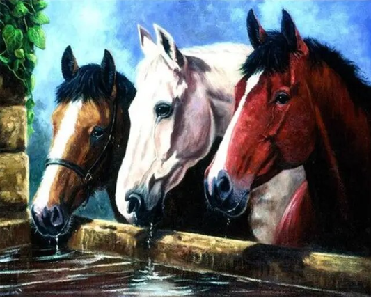 Paint By Number Colorful Canter