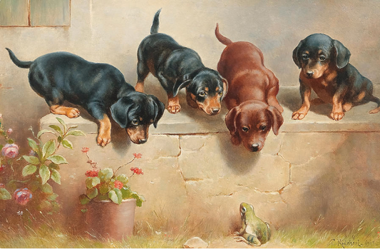 Curious Dachshunds and Frog Paint by Number - Carl Reichert