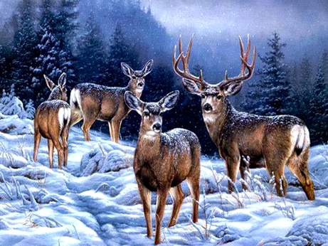 Frosty Forest Friends Deer in Winter Paint By Number