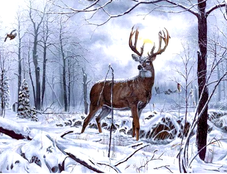 Gentle Giants Deer in a Winter Landscape Paint By Number